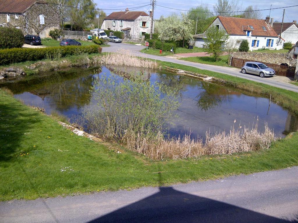 Gite Du Grand Morin Villeneuve-la-Lionne エクステリア 写真